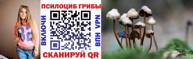 где купить наркотик  мориарти Telegram  hydra ссылки  Галлюциногенные грибы Magic Shrooms  Закаменск 